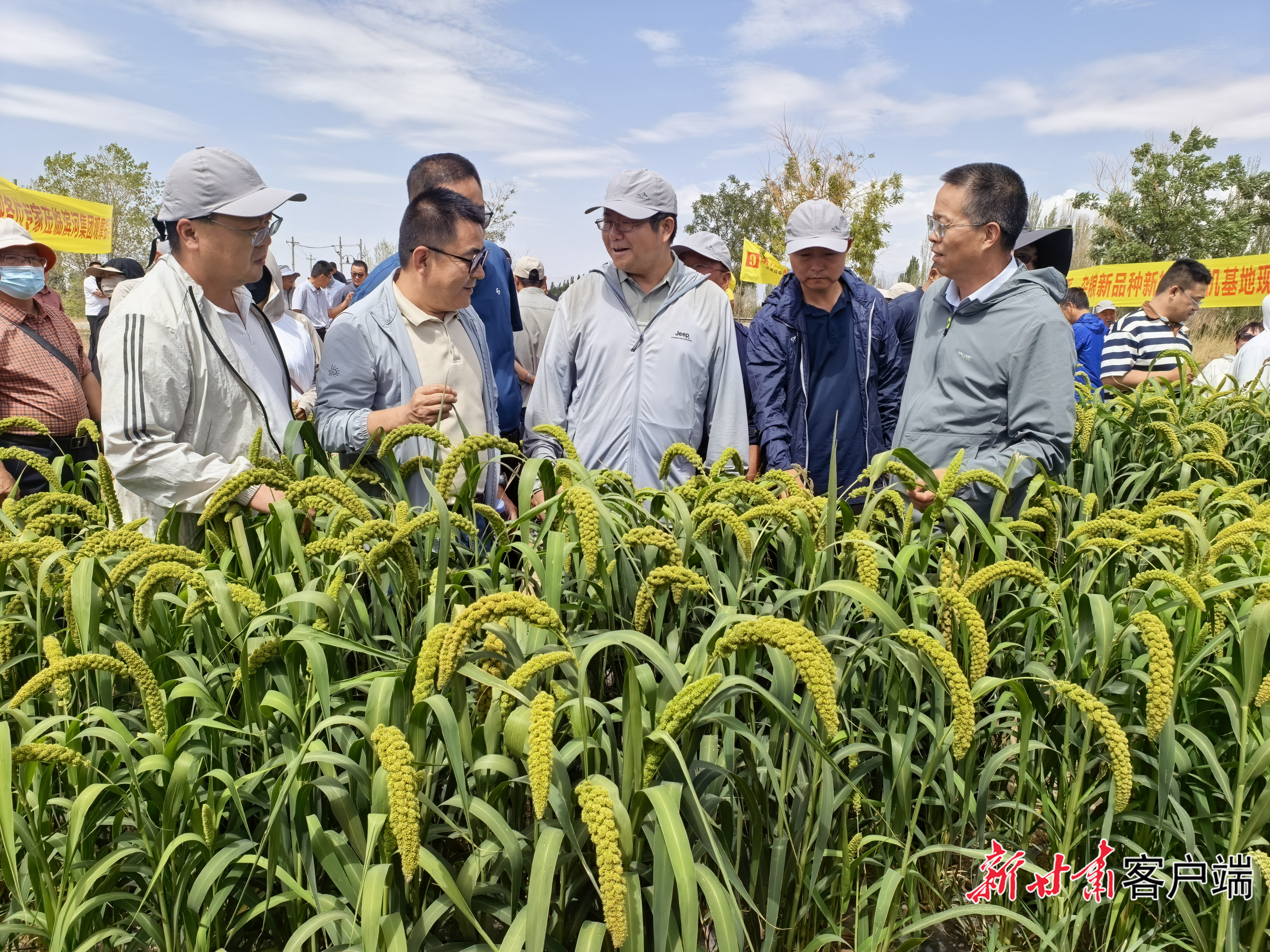 院企合作共促甘肃杂粮产业高质量发展