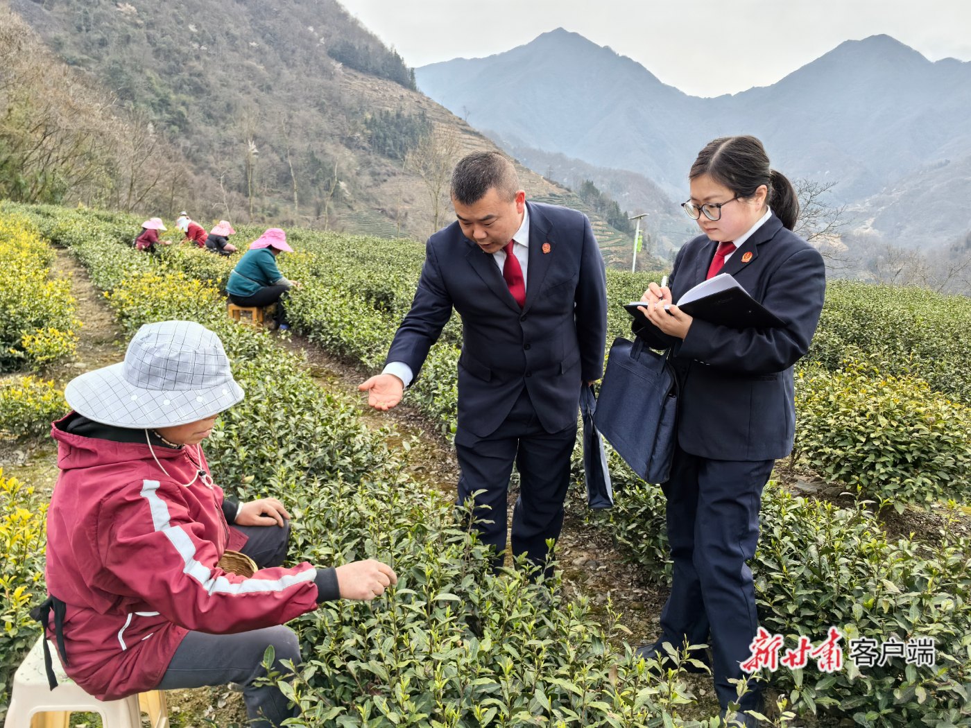 四年三角债陷入执行僵局，碧口法庭以_五道工序_一揽子化解