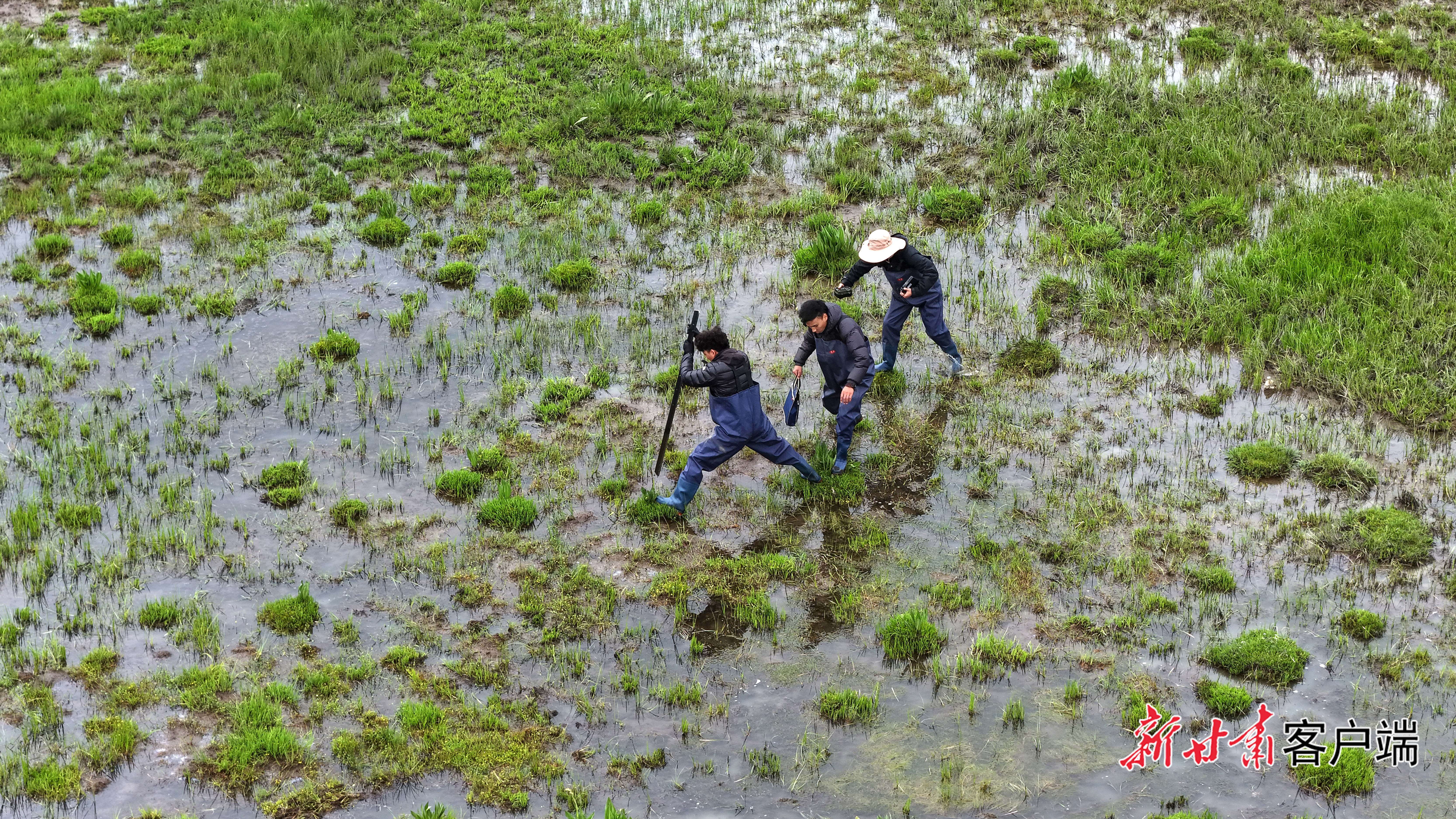 水润首曲鹤舞高原