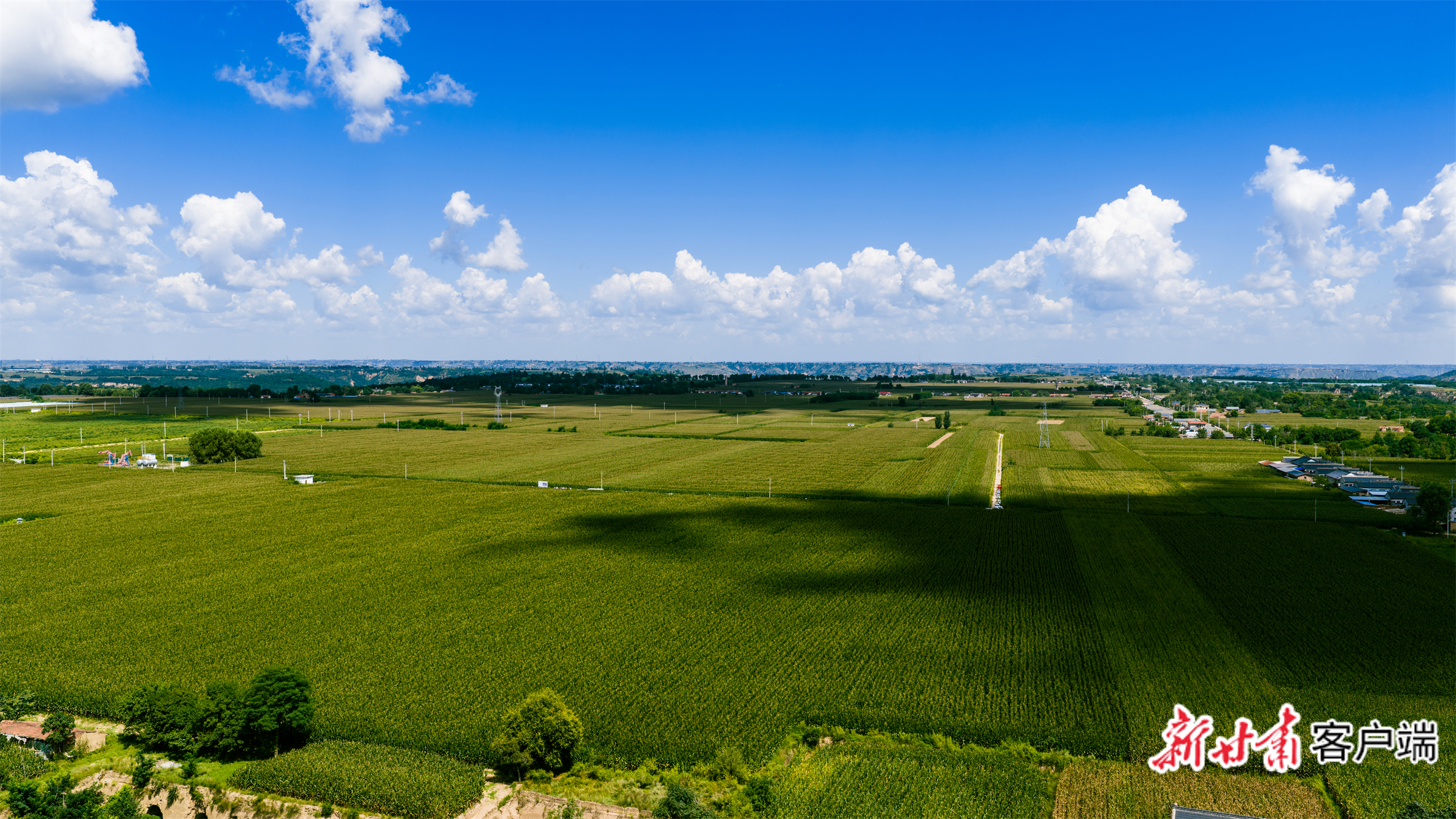 FZ007249762059_A5864925