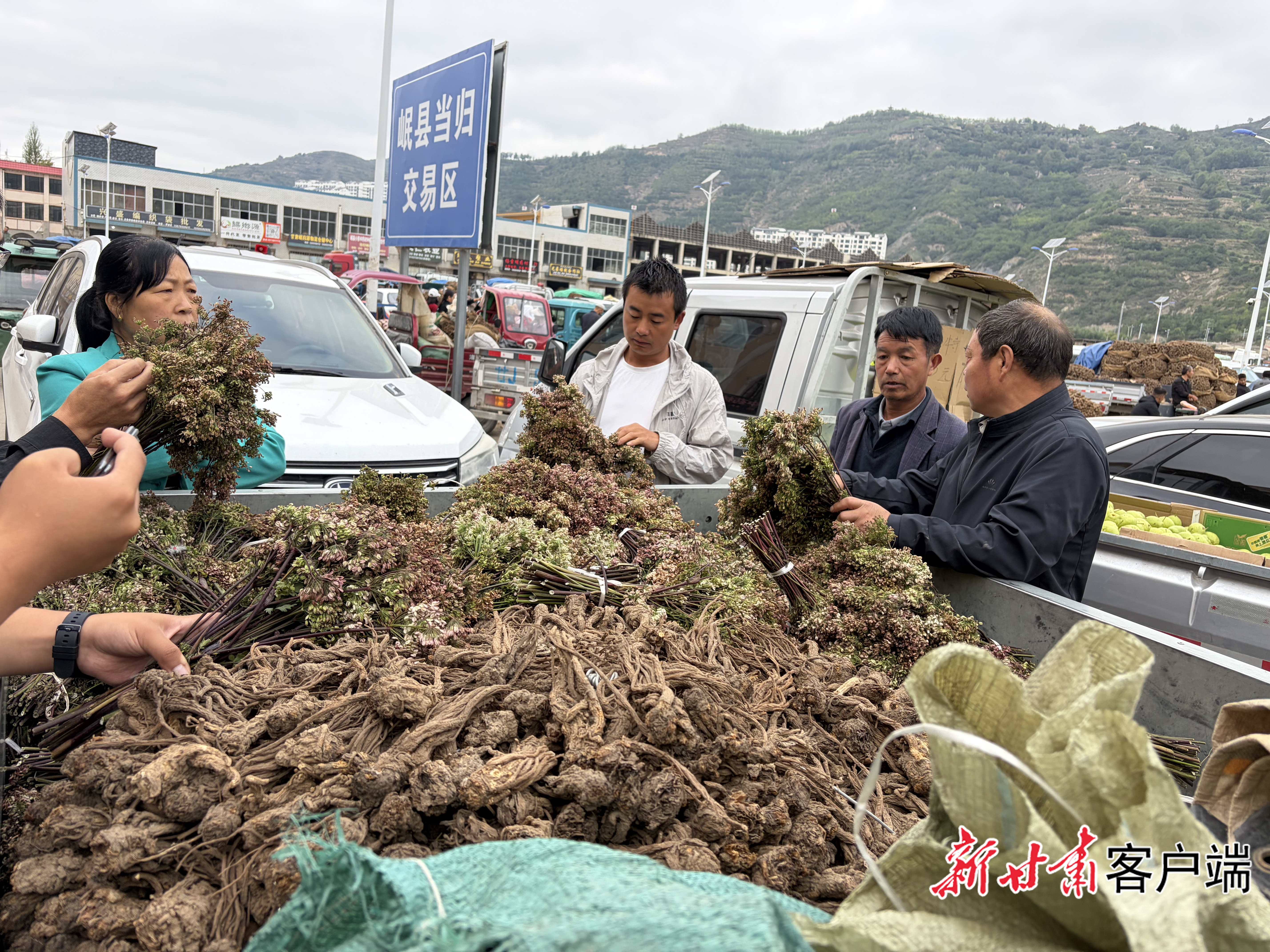 从“种药材”到“做产业”，定西如何构建553亿元全产业链规模？