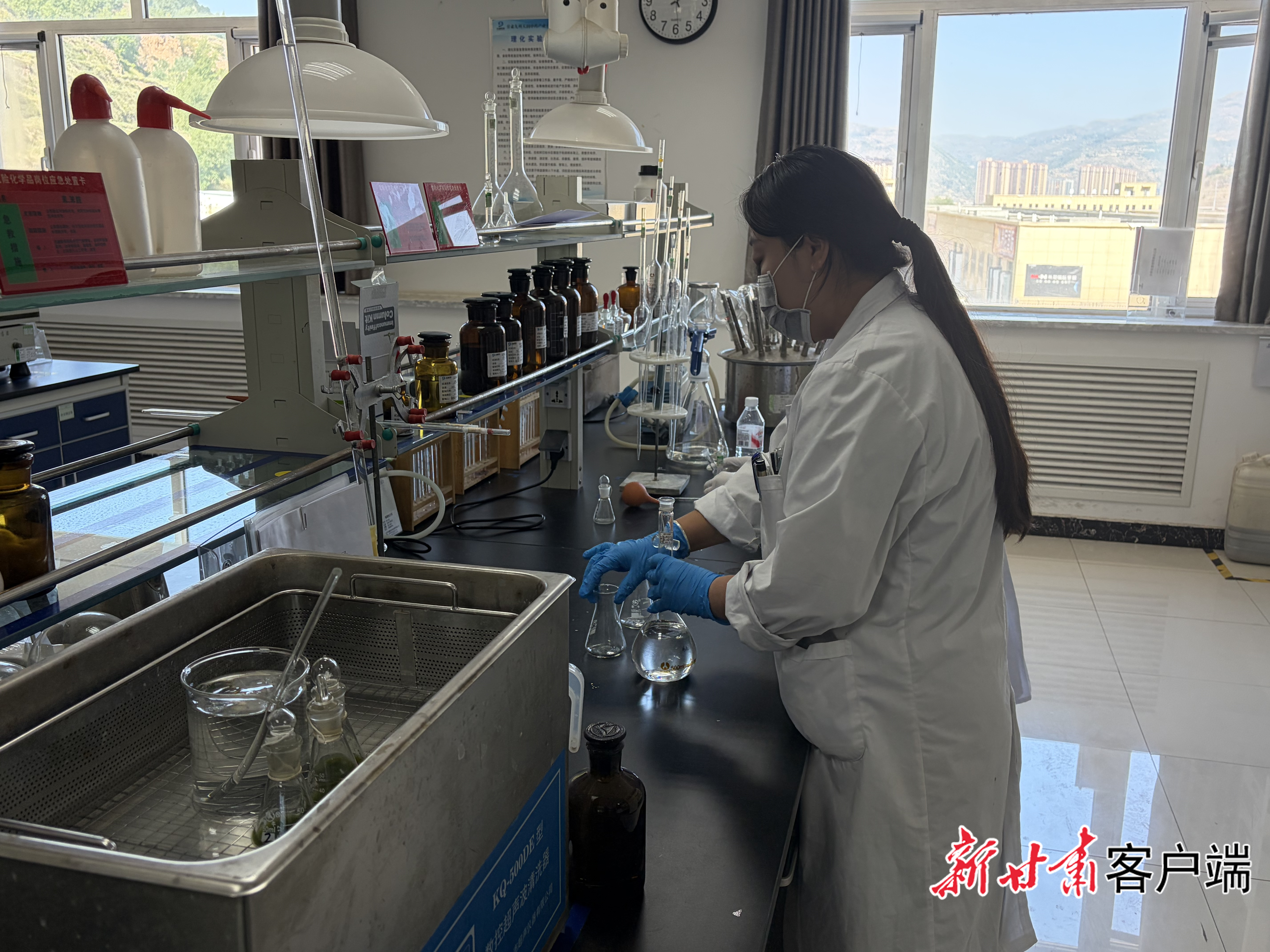 从“种药材”到“做产业”，定西如何构建553亿元全产业链规模？