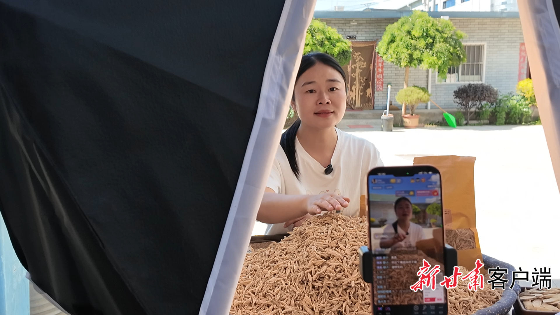 从“种药材”到“做产业”，定西如何构建553亿元全产业链规模？