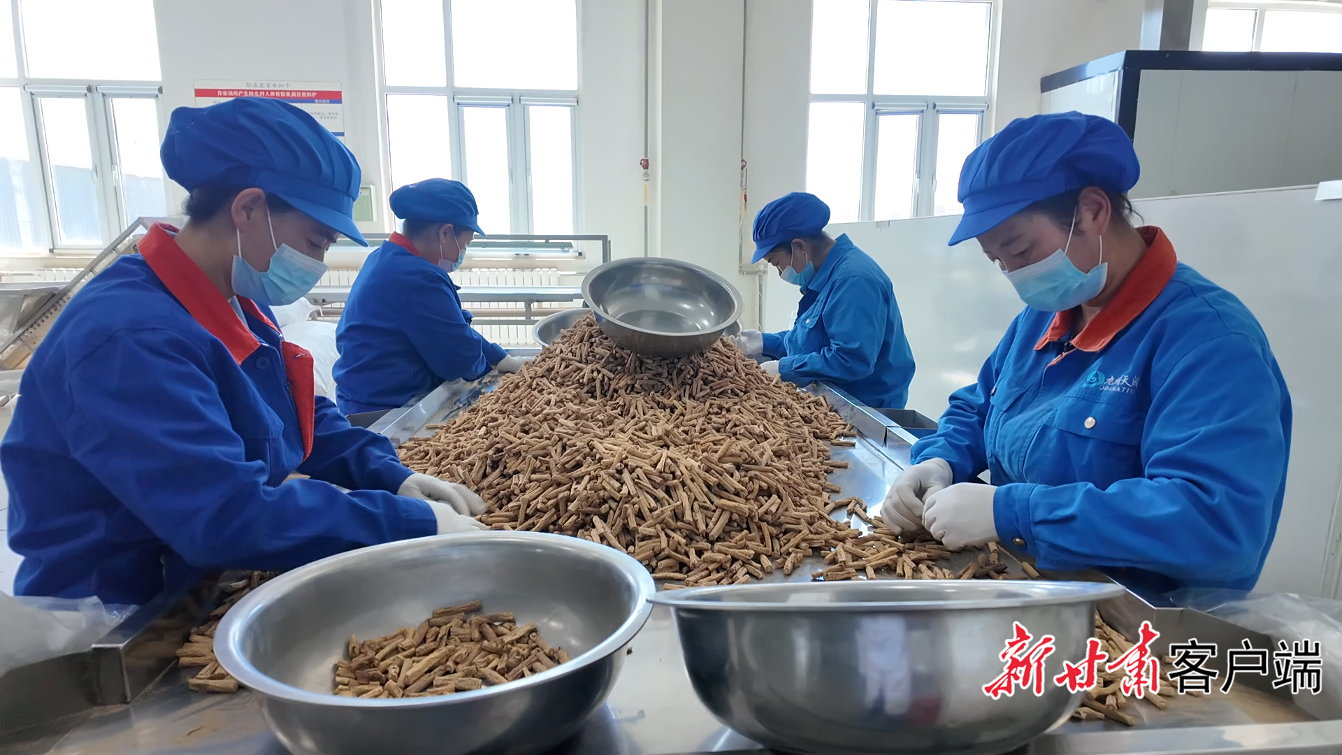 从“种药材”到“做产业”，定西如何构建553亿元全产业链规模？