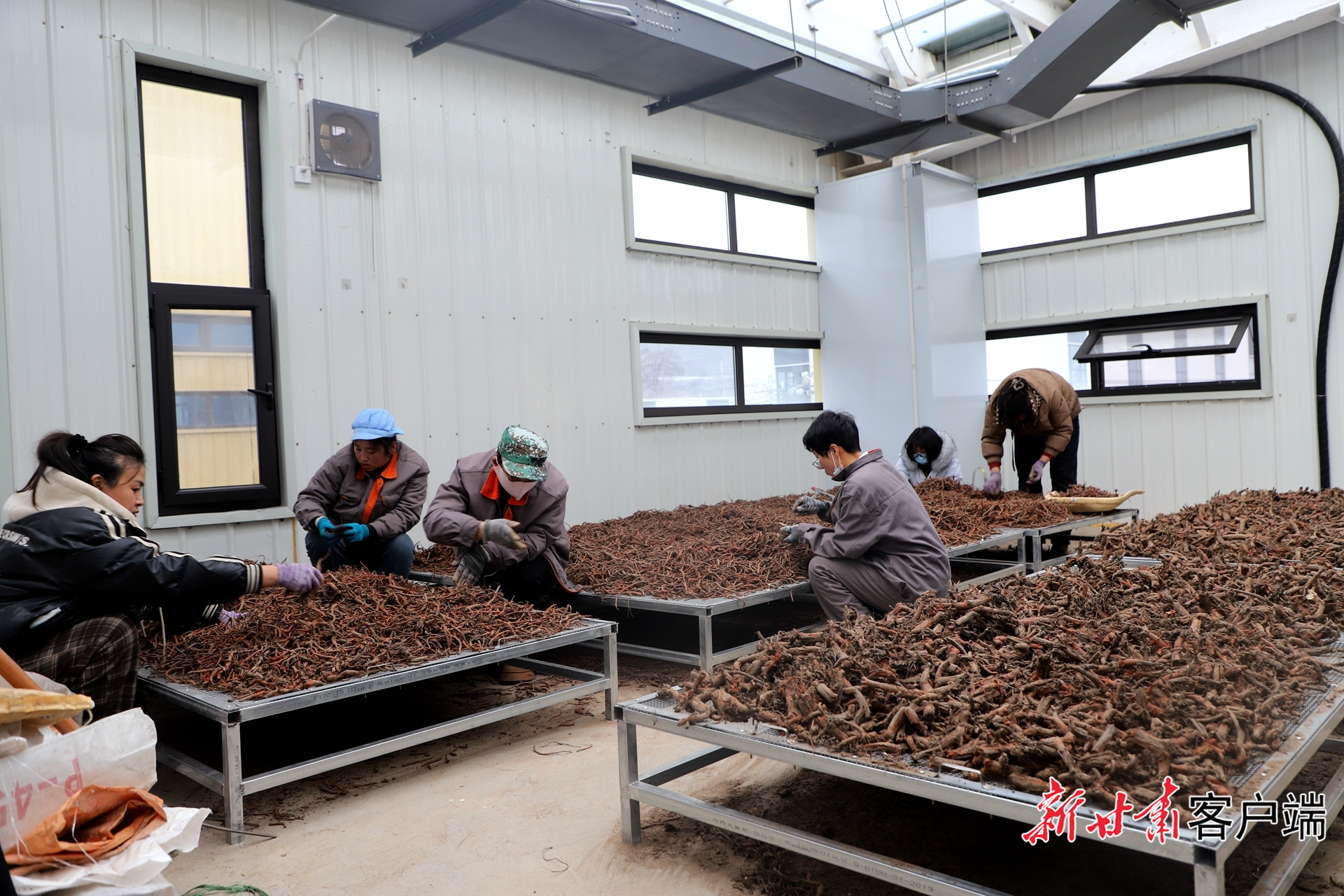 【东西部协作在陇原】跨越千里的山海实践——天津天水东西部协作纪实