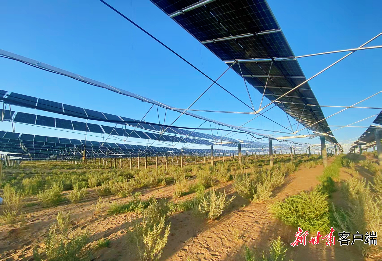 科技治沙蹚新路——华电甘肃高效推进全国首个沙戈荒新能源基地近自然修复技术应用项目
