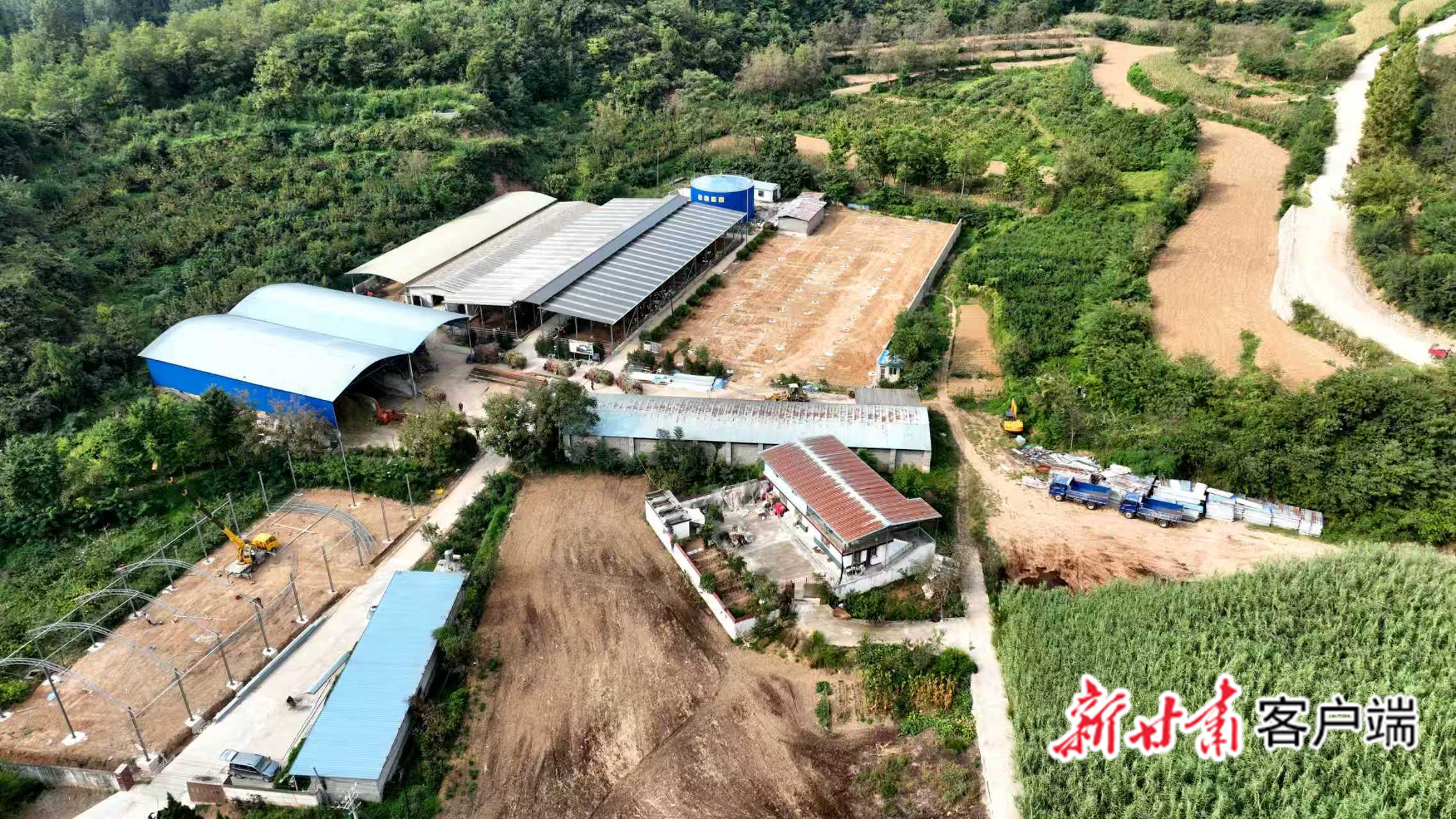 徽县：田间“废秆”变身“绿色存单”