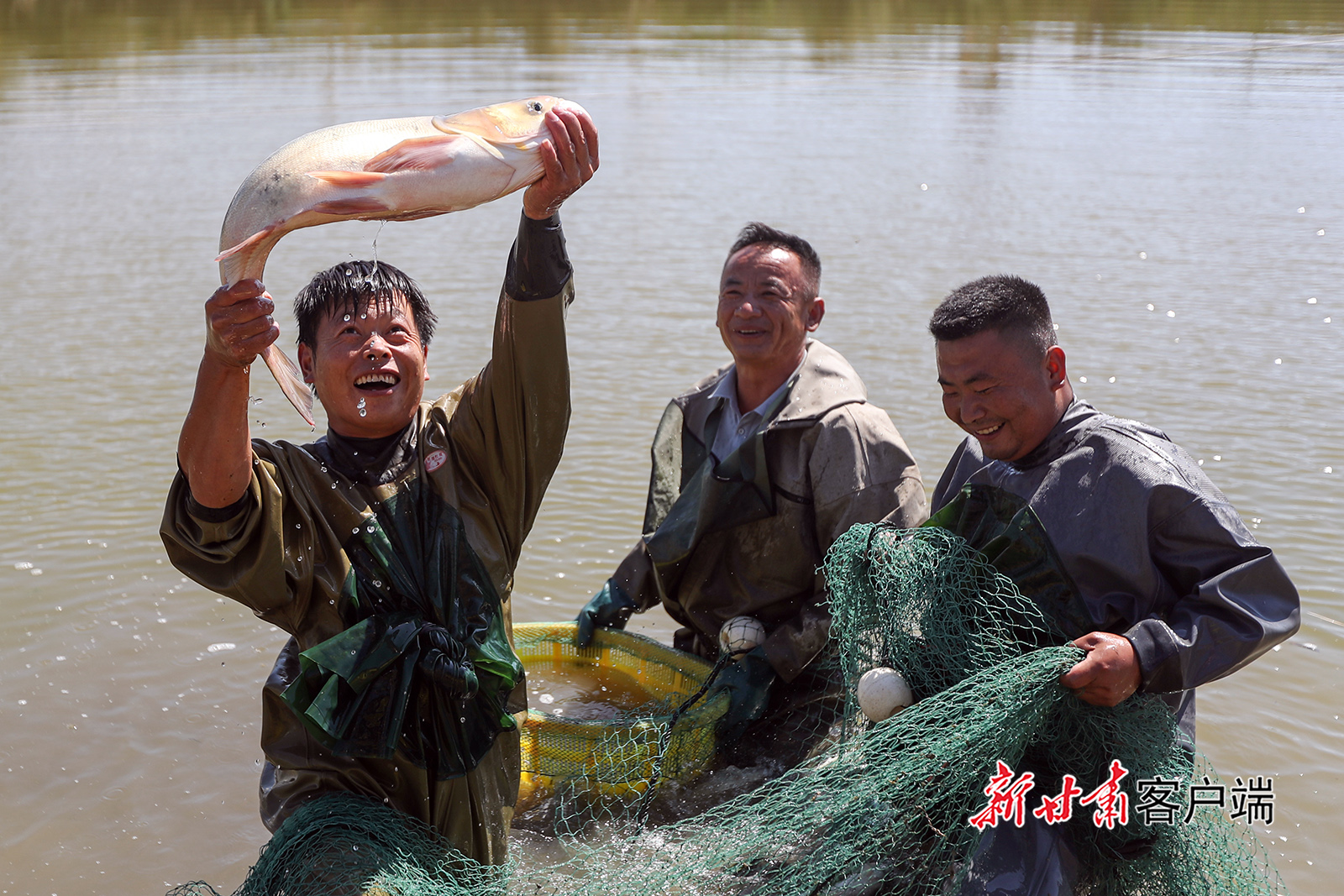 景泰县：盐碱地养出“致富鱼”