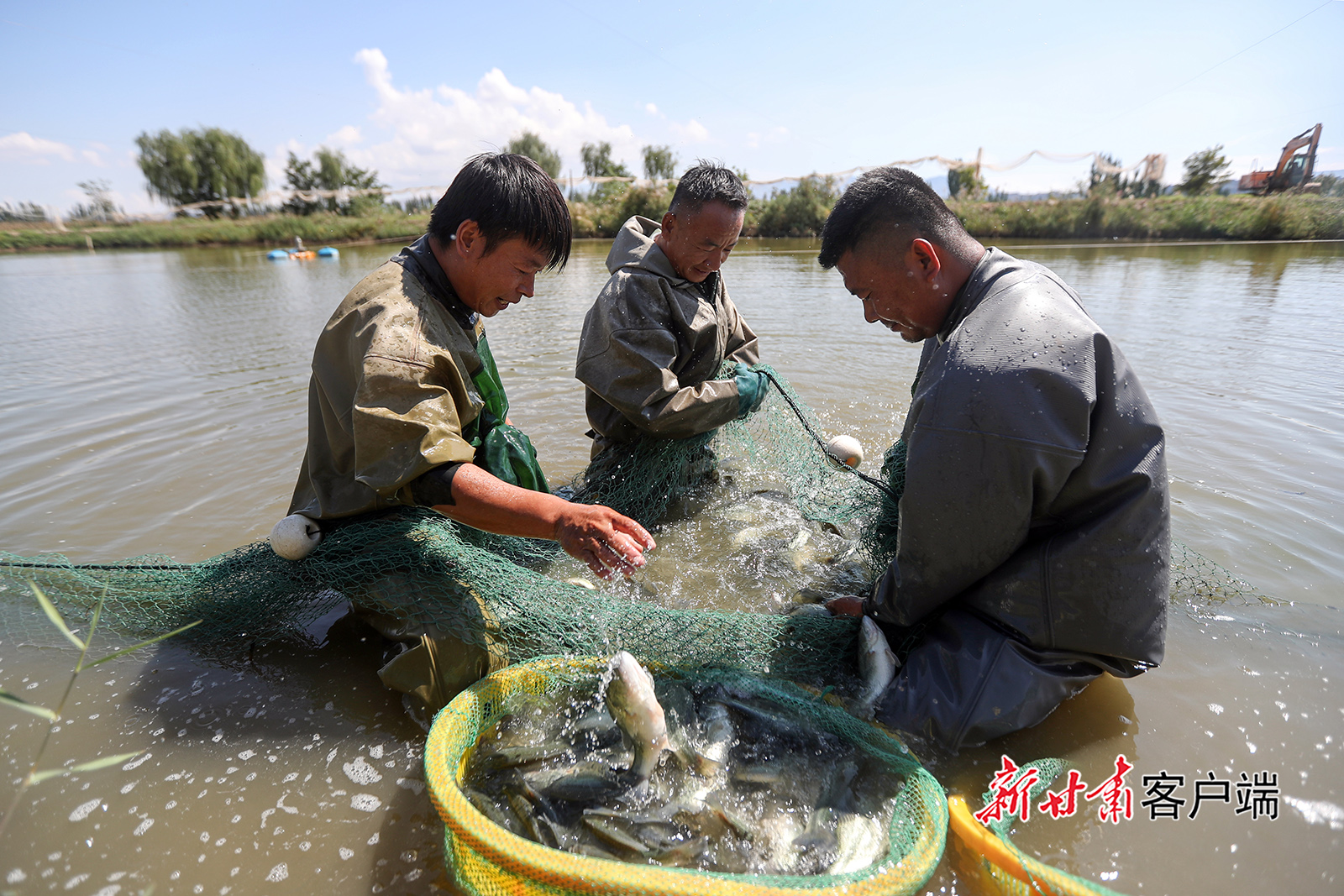 景泰县：盐碱地养出“致富鱼”