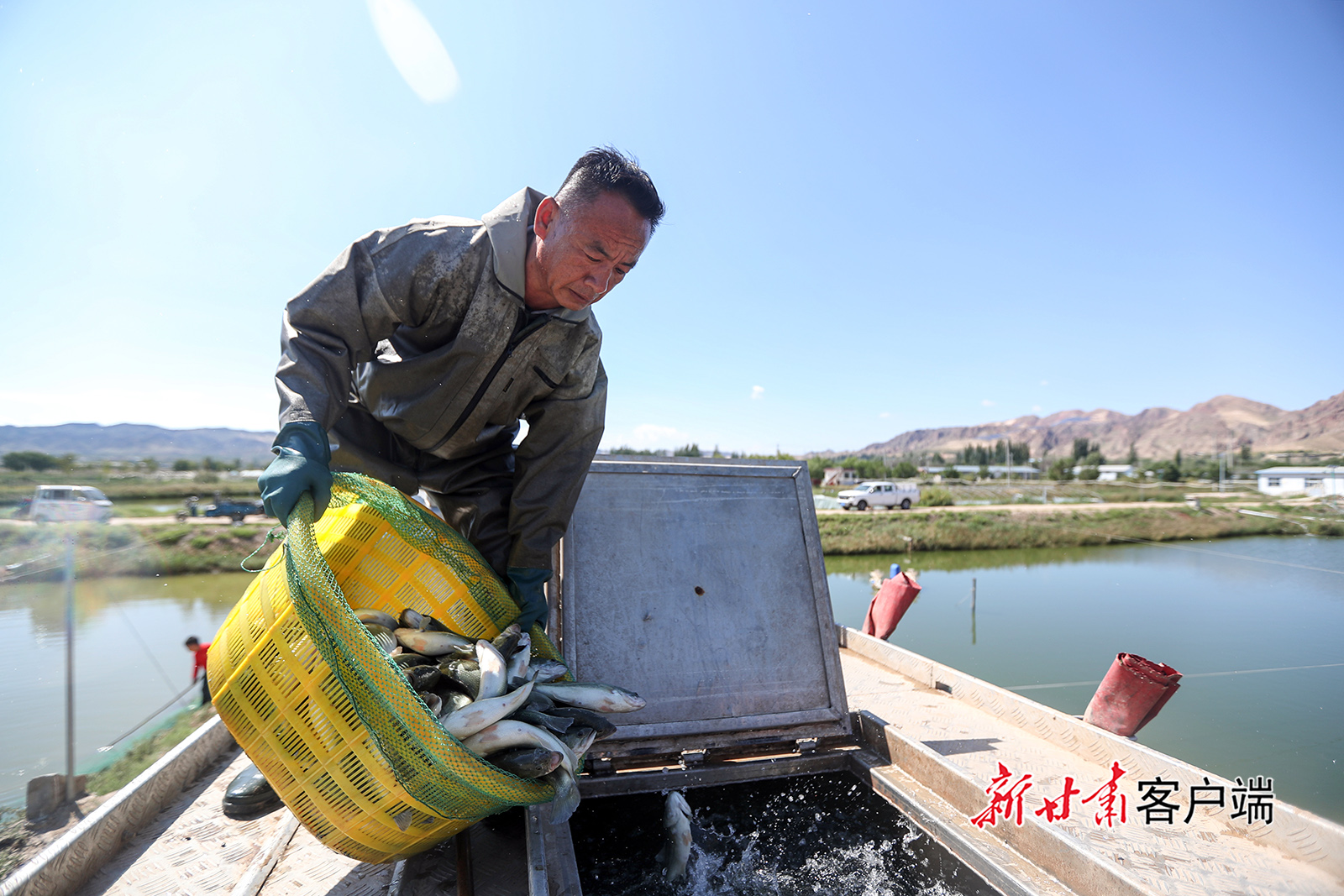 景泰县：盐碱地养出“致富鱼”