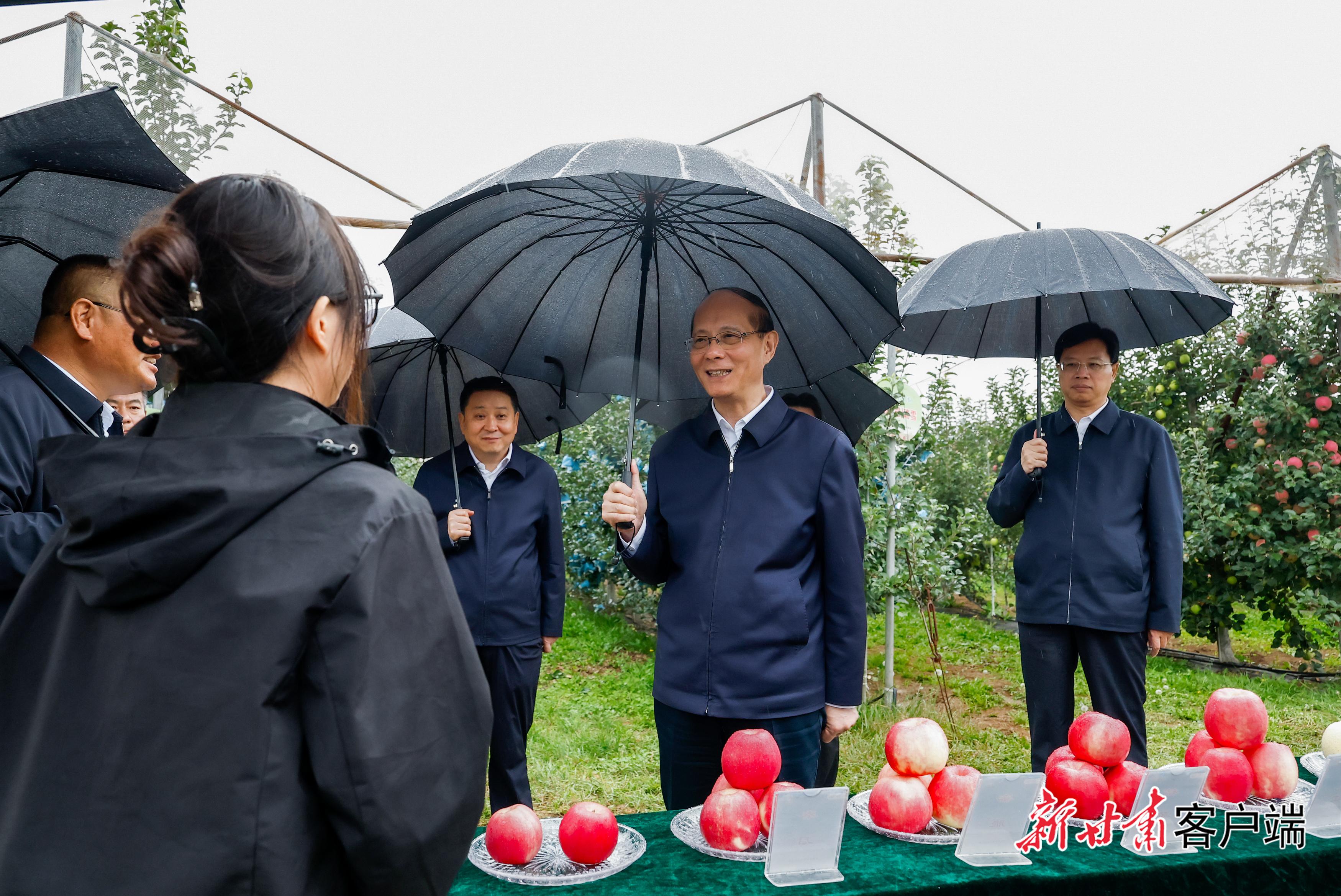 吴晓军在庆阳市调研