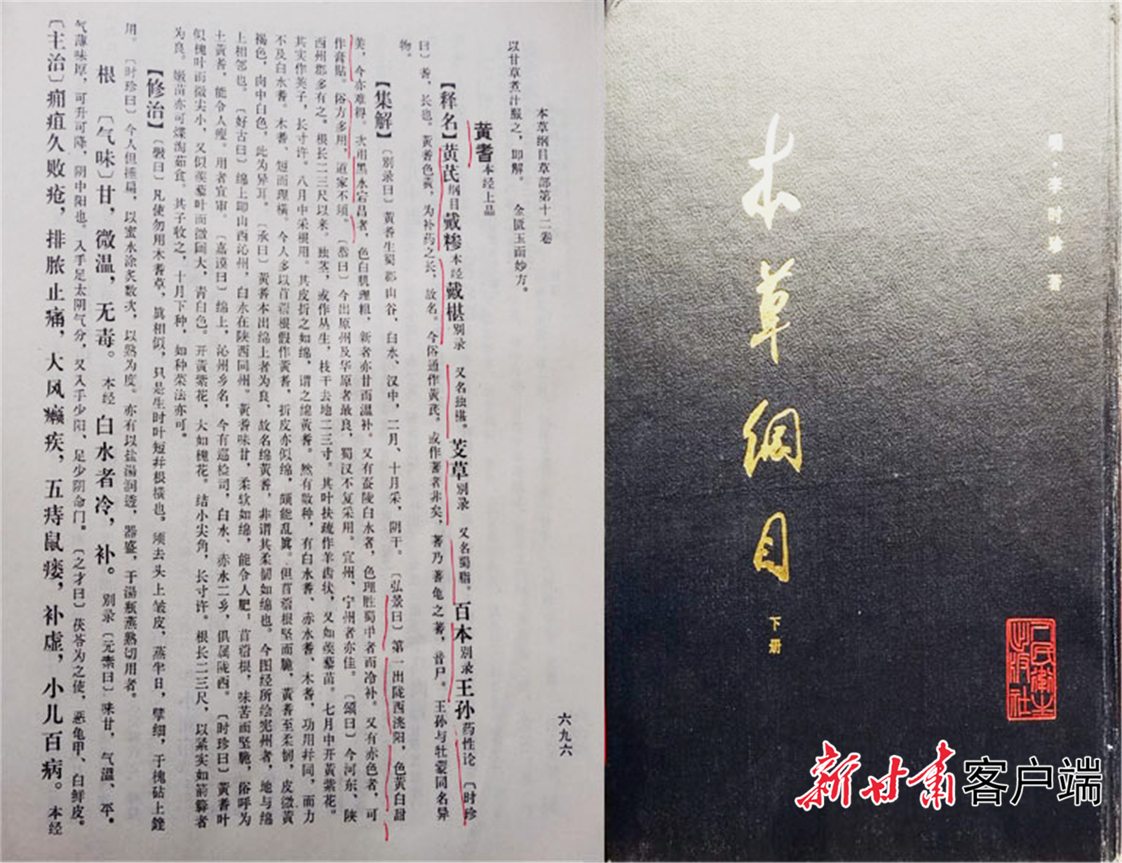 FZ007250374983_A5932373