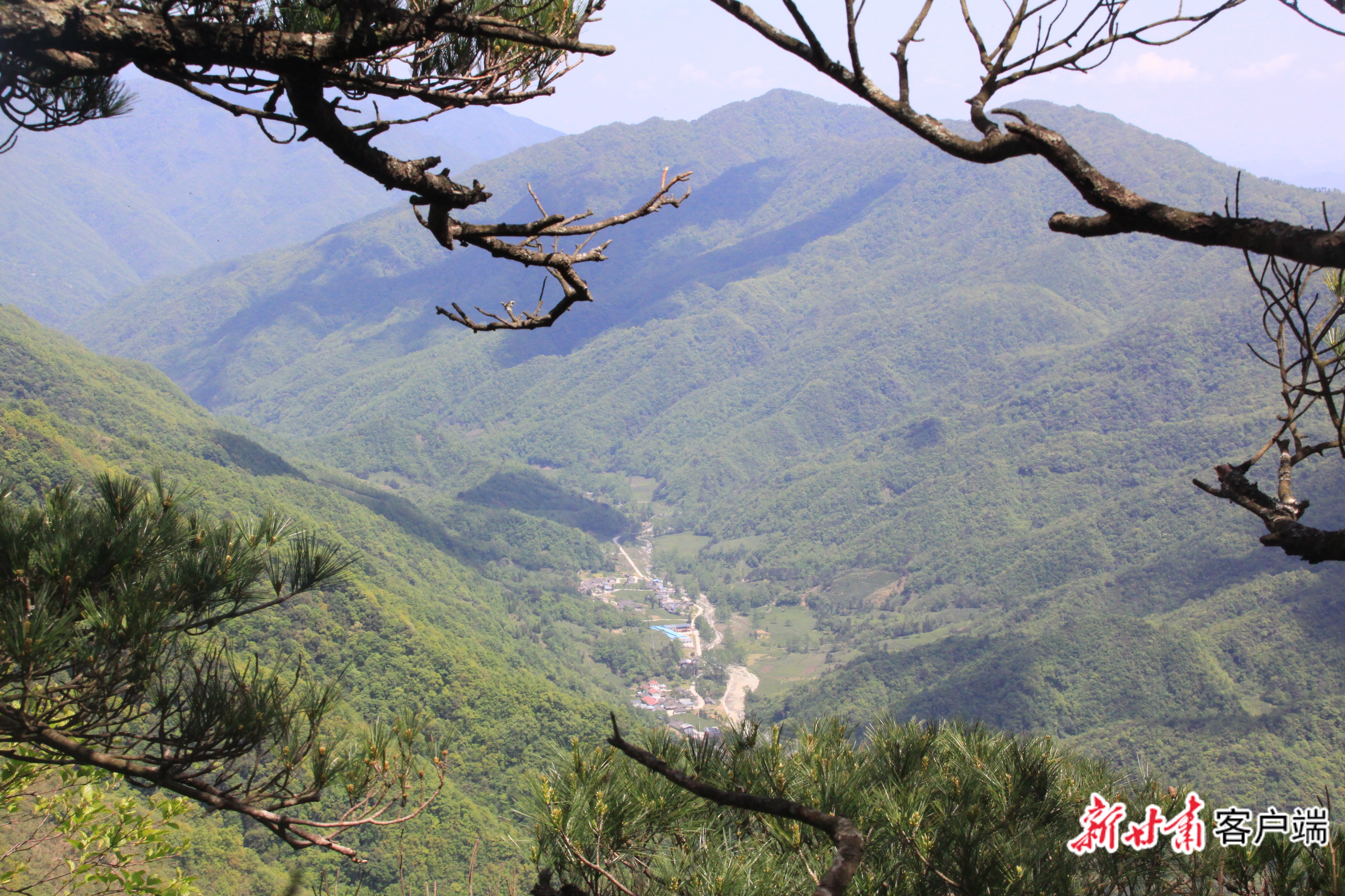 image_0