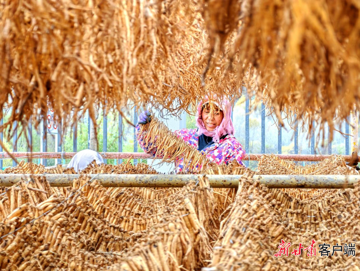FZ100450429399_A5940183