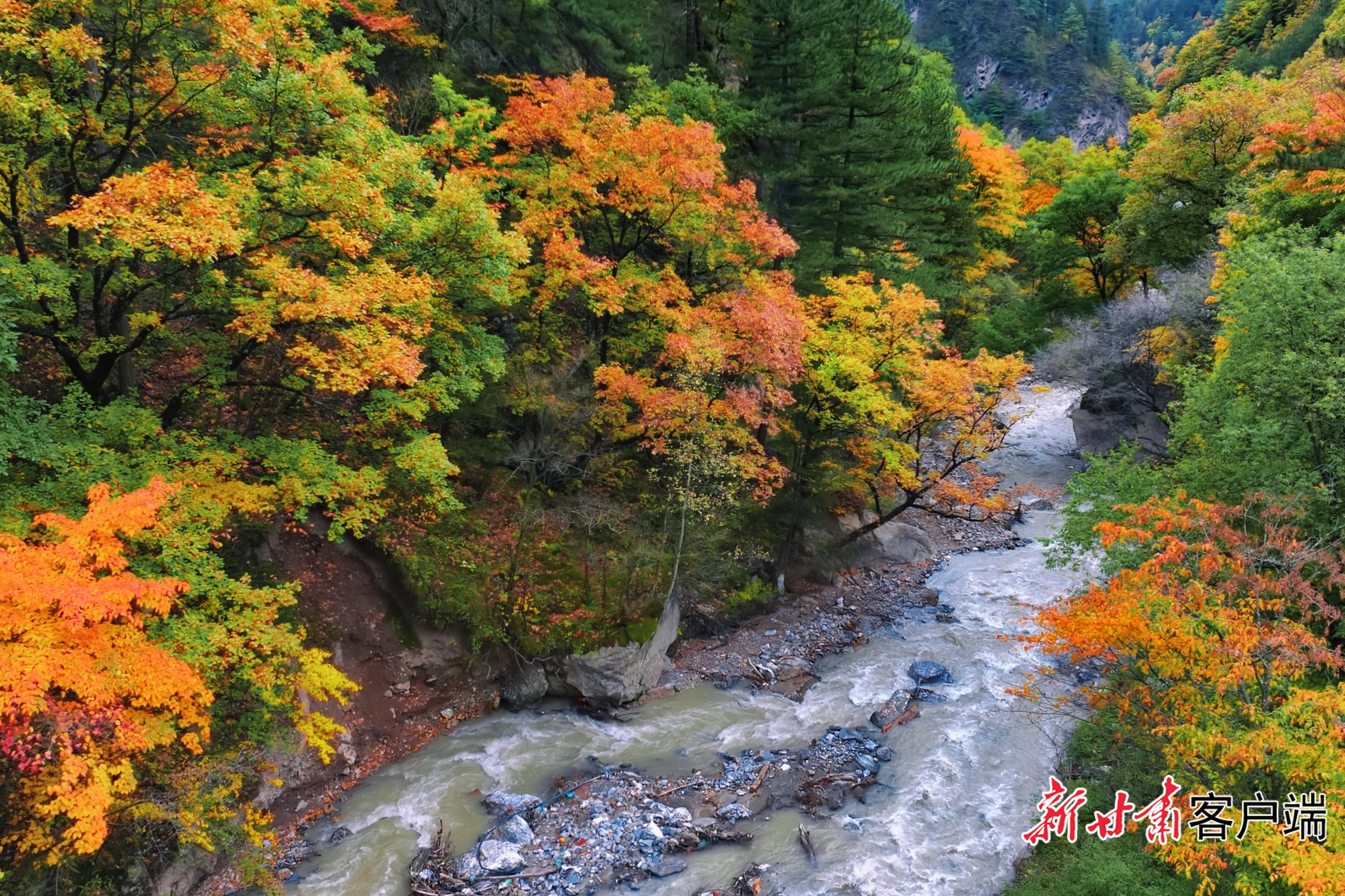 FZ007250497134_A5947461
